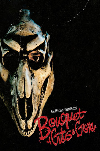 Koleksioni American Guinea Pig