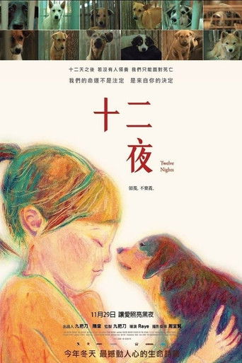 Seria Dymbëdhjetë Netë