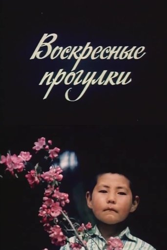 Udhëtime të dielës