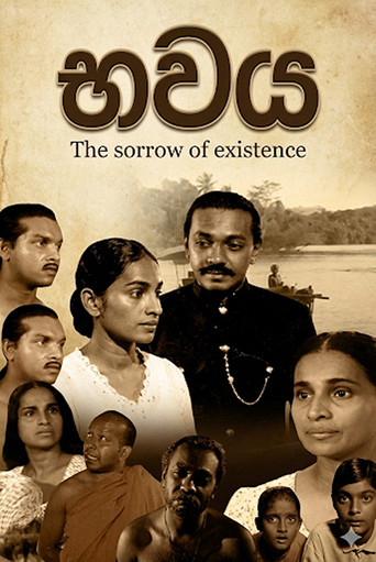 Bawaya - Koleksioni i Dhimbjes së Ekzistencës