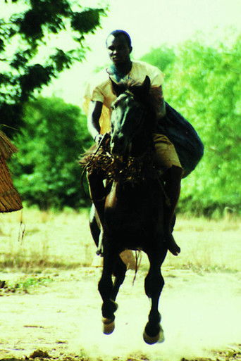 Koleksioni Wênd Kûuni