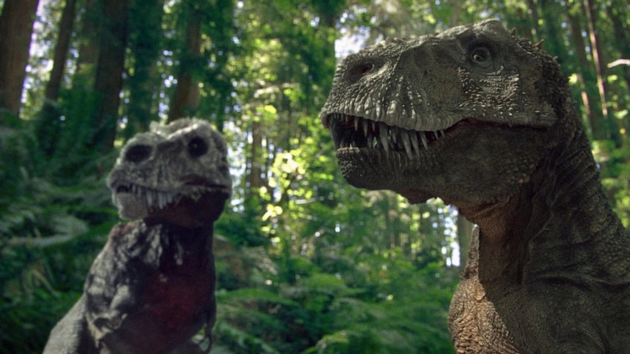 Léon Profesionisti backdrop