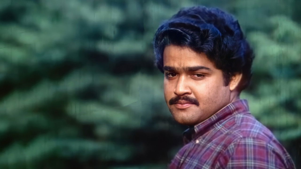 Shpella e Rrjetit të Mëndafshtë backdrop