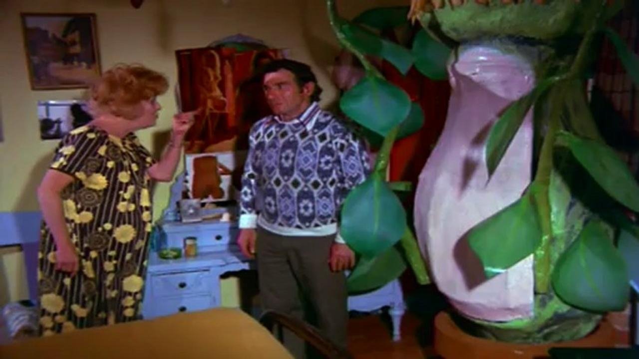 Mbretëresha + Paul Rodgers: Live në Ukrainë backdrop