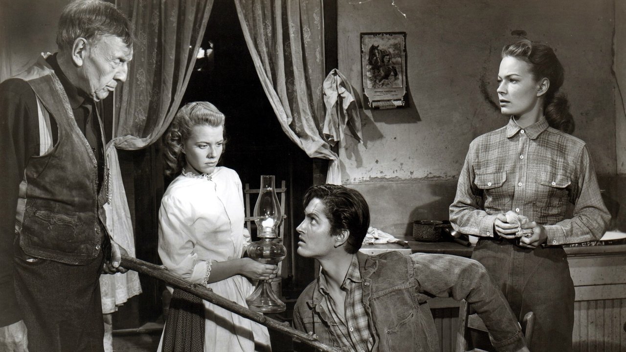 The translation for the title Digital Video Essentials: HD Basics in Albanian would be: Thelbi i Videove Digjitale: Bazat e HD backdrop