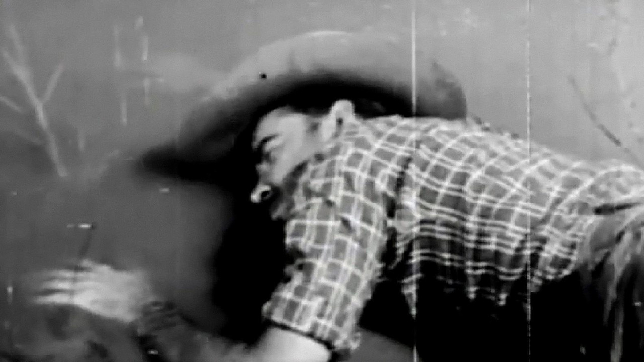 Klubi i Detektivëve Okult: Varrezat e Kukullave backdrop