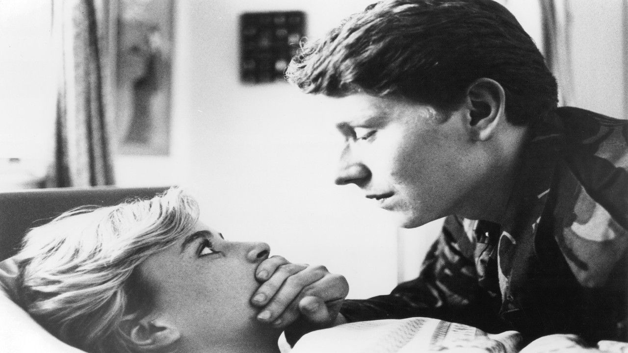 Të Haruarit backdrop