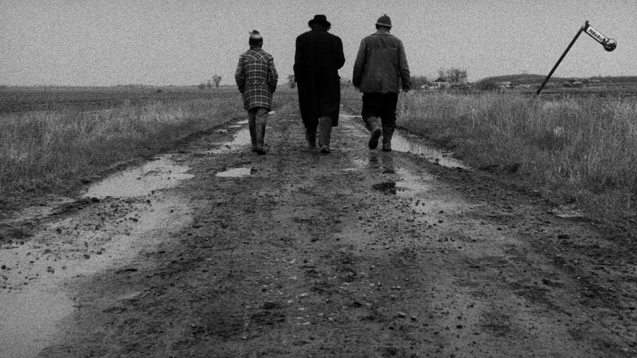 Problemi me Harryn backdrop