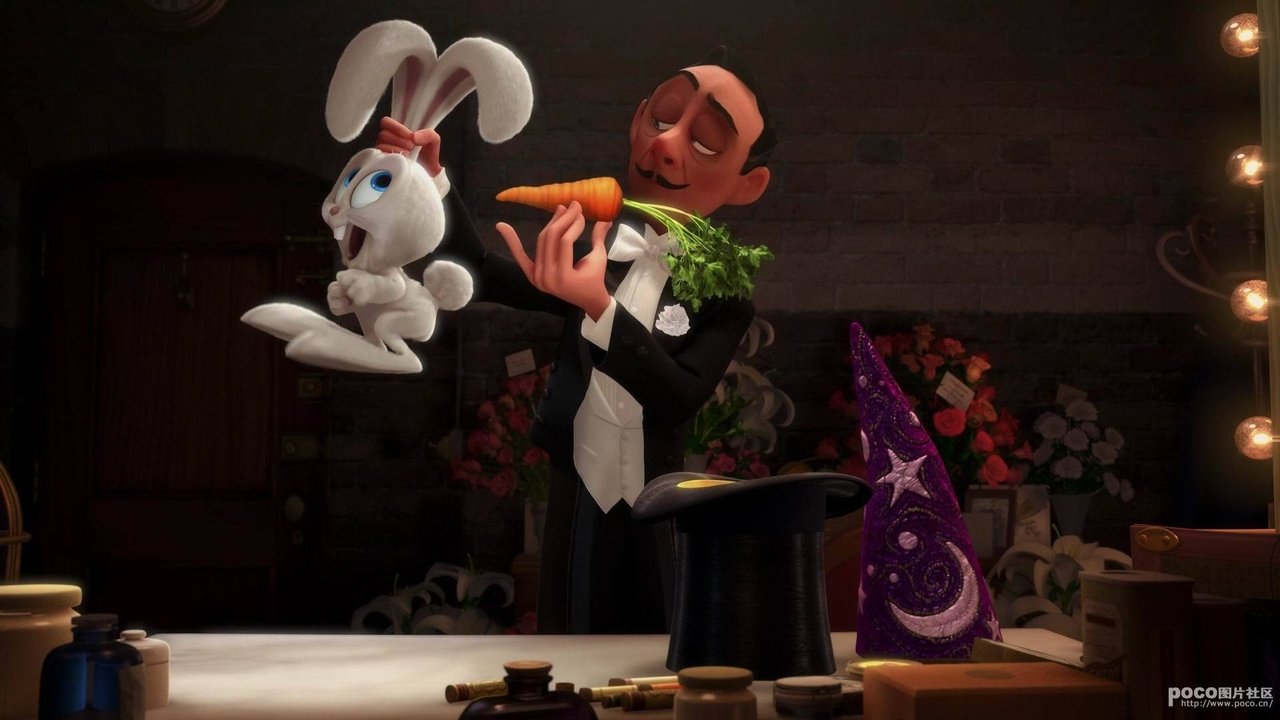 Ekspert i Nxehtësisë backdrop