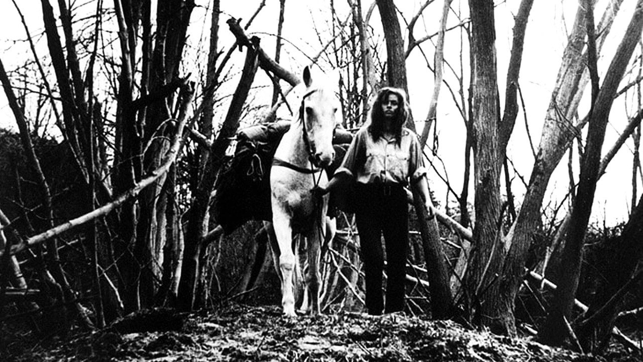 Krimet e Mia Pas Mein Kampf backdrop