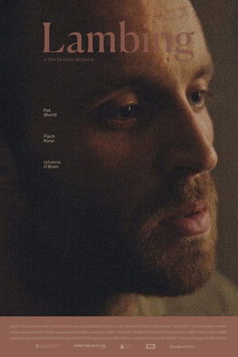 Akademia e Policisë 5 Detyra Miami Beach