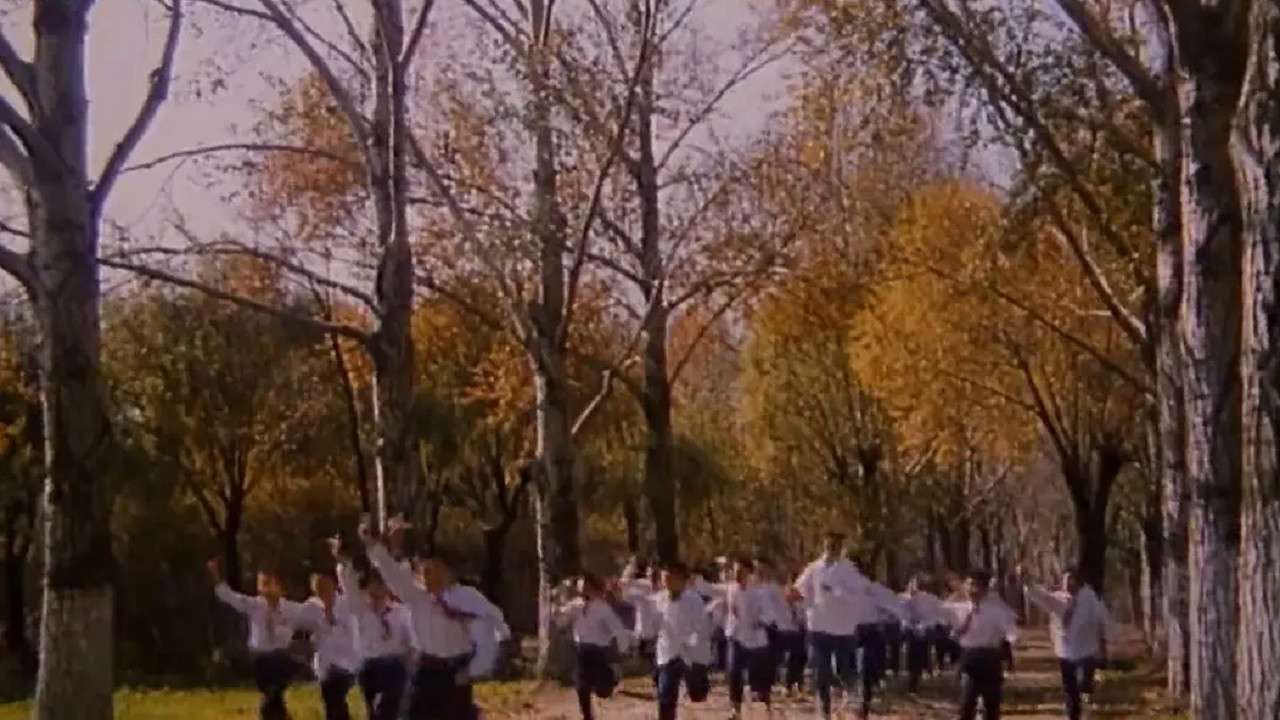 Në Fund të Fundit backdrop