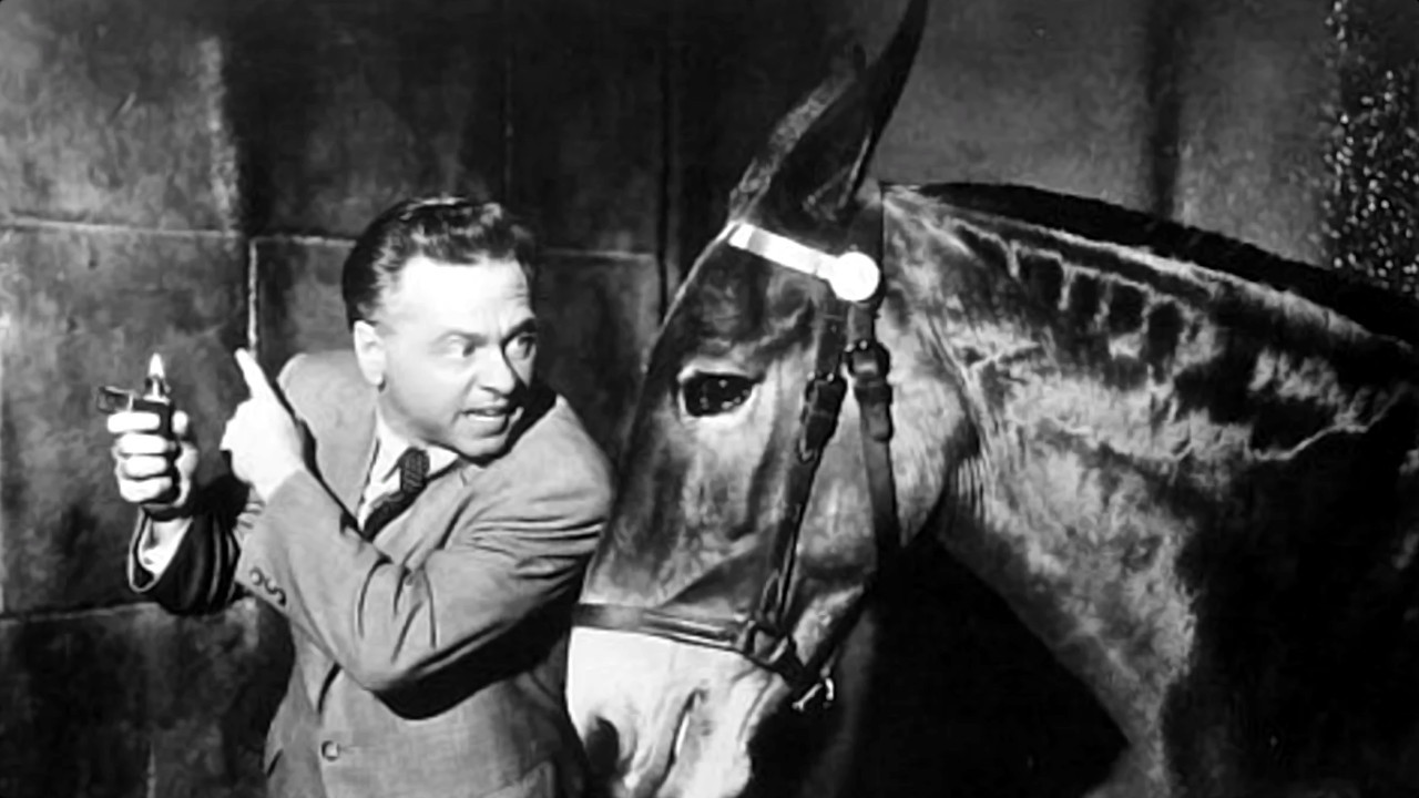 Të Qeshurat e Plumbave backdrop