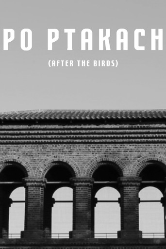 Në Kërkim të Një Puthjeje në Mesnatë