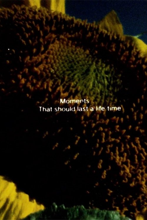 Një rregullator: Robert Bresson poster