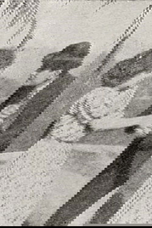 Katër dasmat e Marisol poster