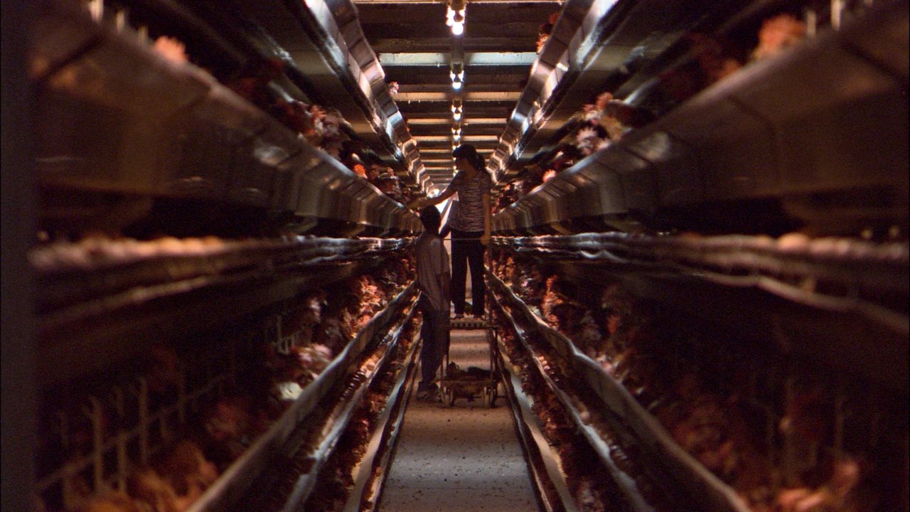 Makina të Përdorura backdrop