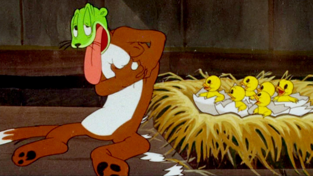 I Lirë të Shkosh backdrop