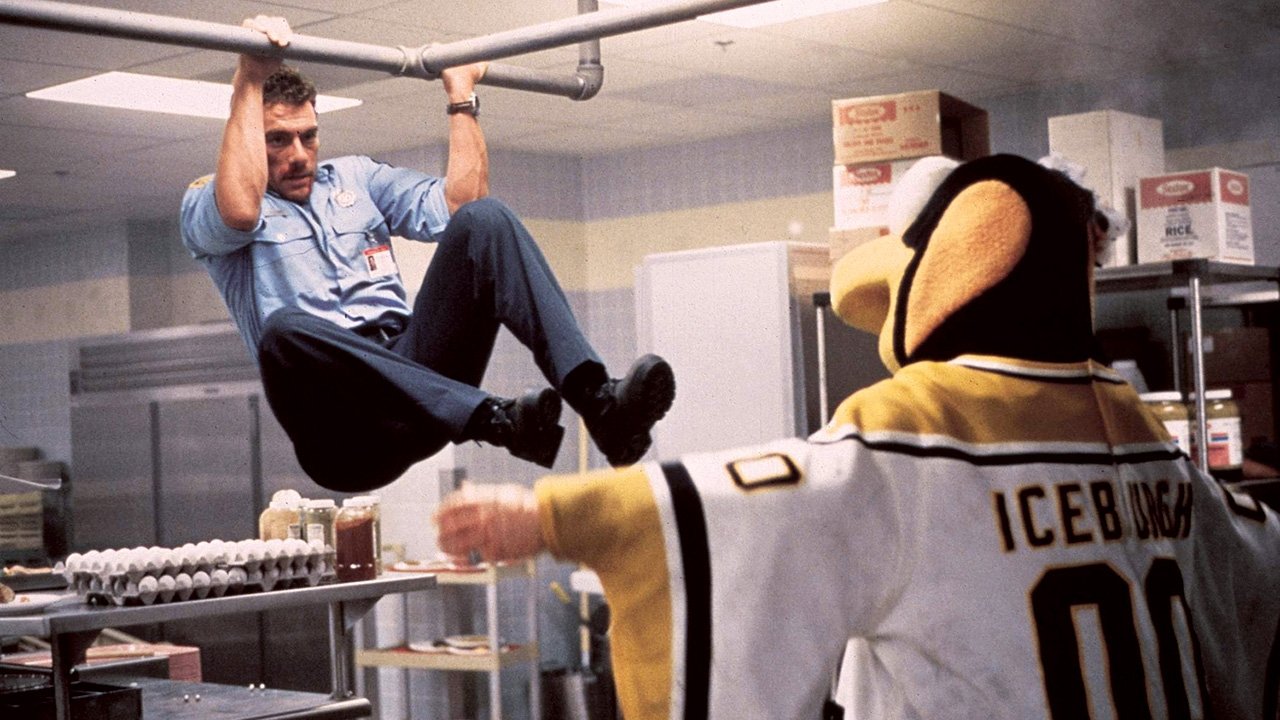 I-Shikoj-Ti.com backdrop