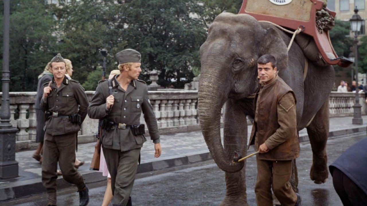 Prekje e së Keqes backdrop