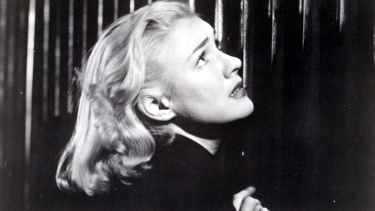 Kecelja e Velvetit backdrop