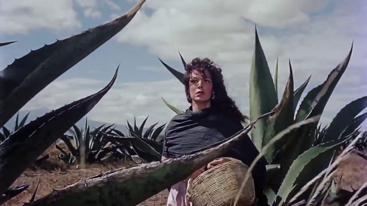 Armida, the Tragedy of a Wife backdrop