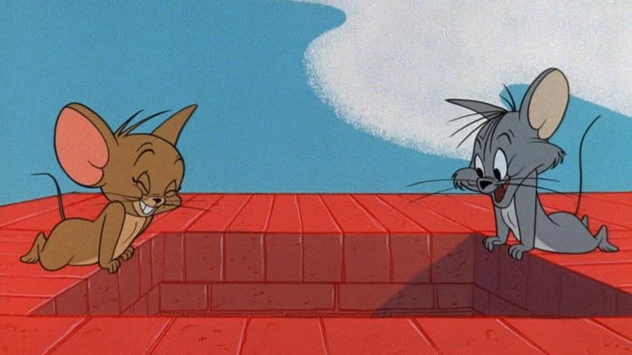 Shko me Paqe Jamil backdrop