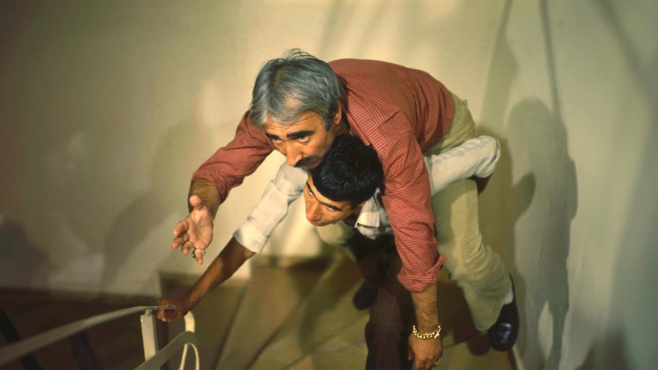 3 Arrat në Kërkim të një Nushi backdrop