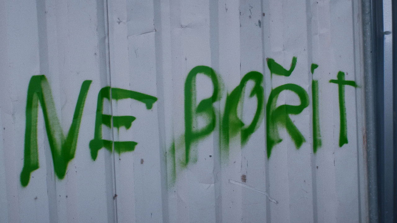 Ata Shkruajnë Natën backdrop