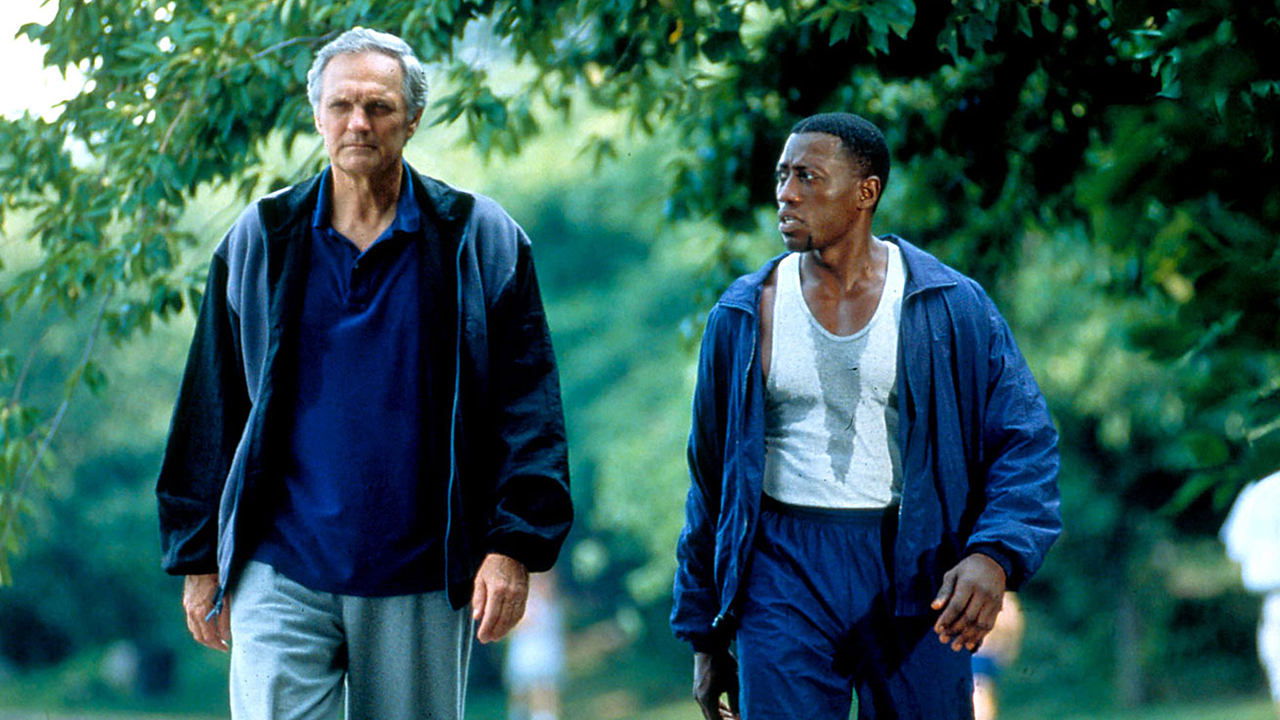 Vendime të Rënda backdrop