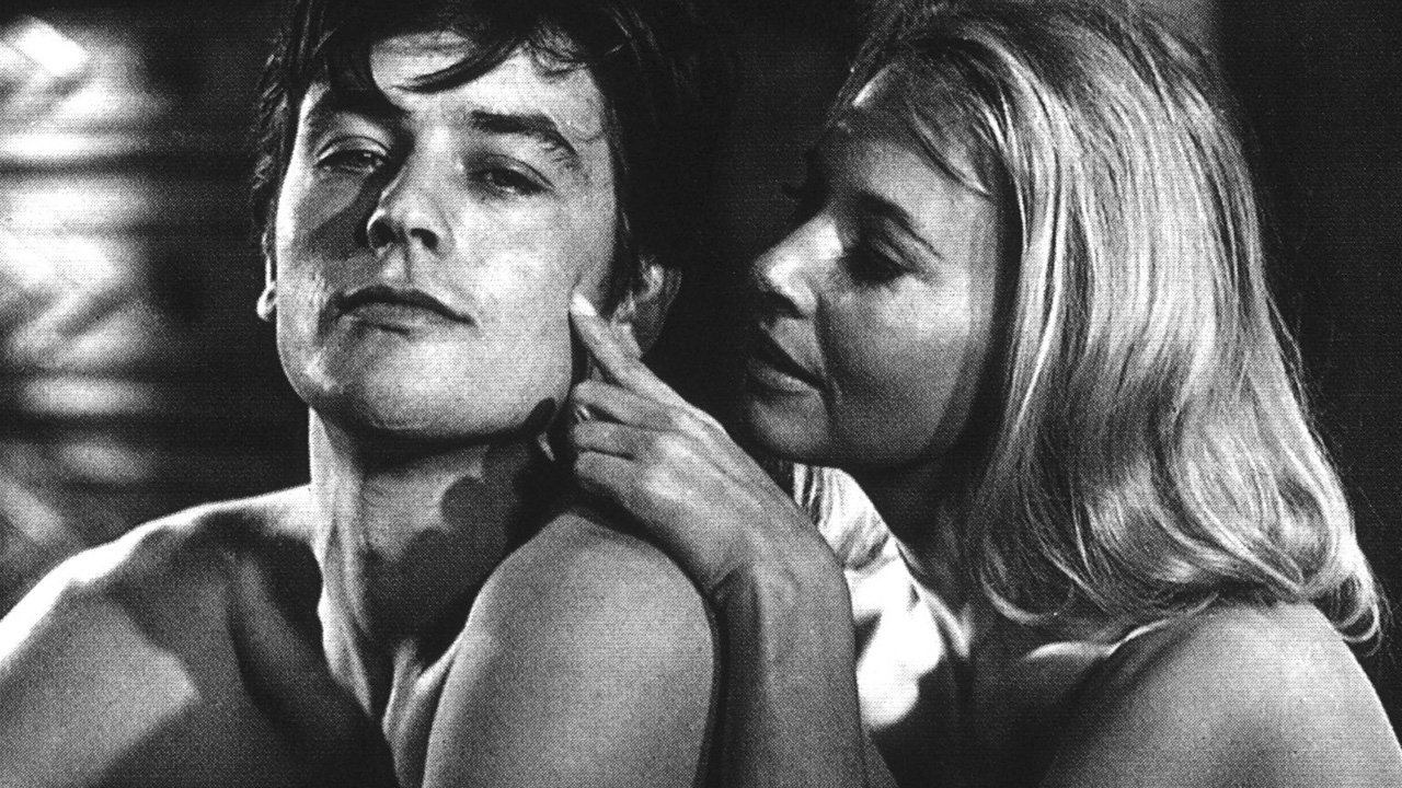 Vëllezërit e Ligjit backdrop