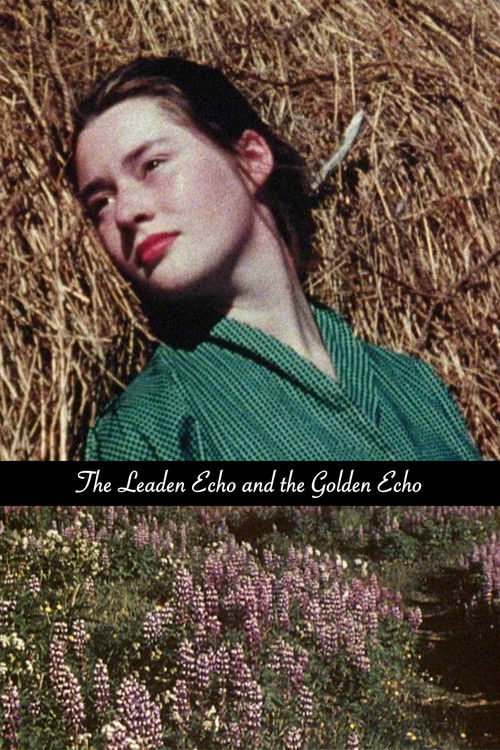 Furia e Lirisë poster