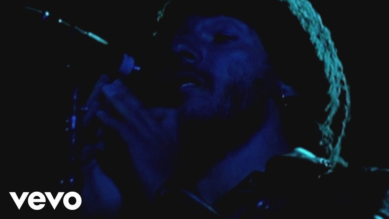 Donki Honky backdrop