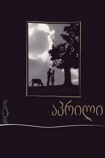 15 Vjet dhe Një Ditë