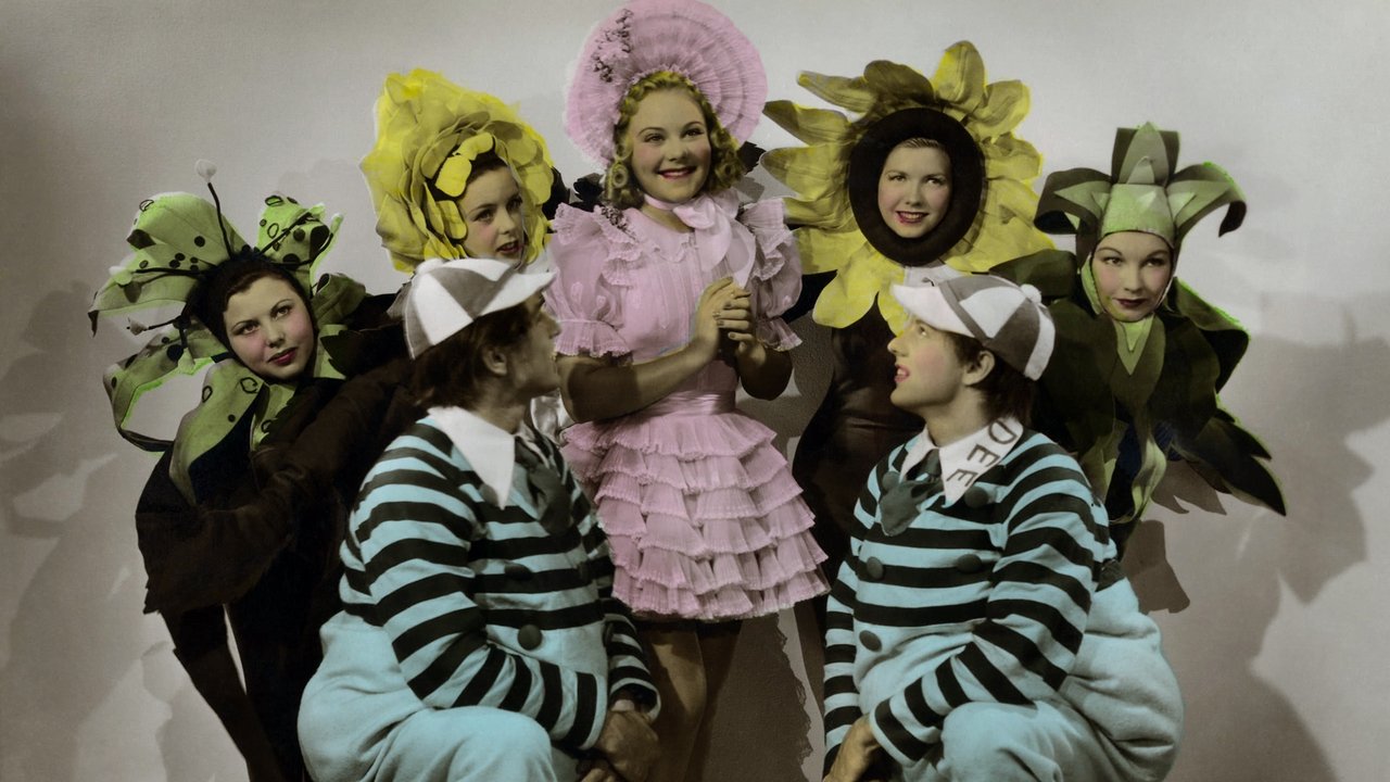 Rosamunde Pilcher: Zemrat në Erë backdrop