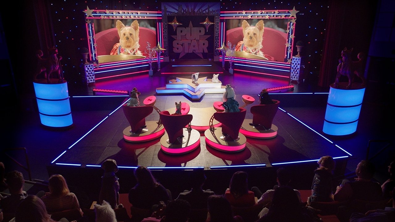 Vajza e Mesnatës backdrop