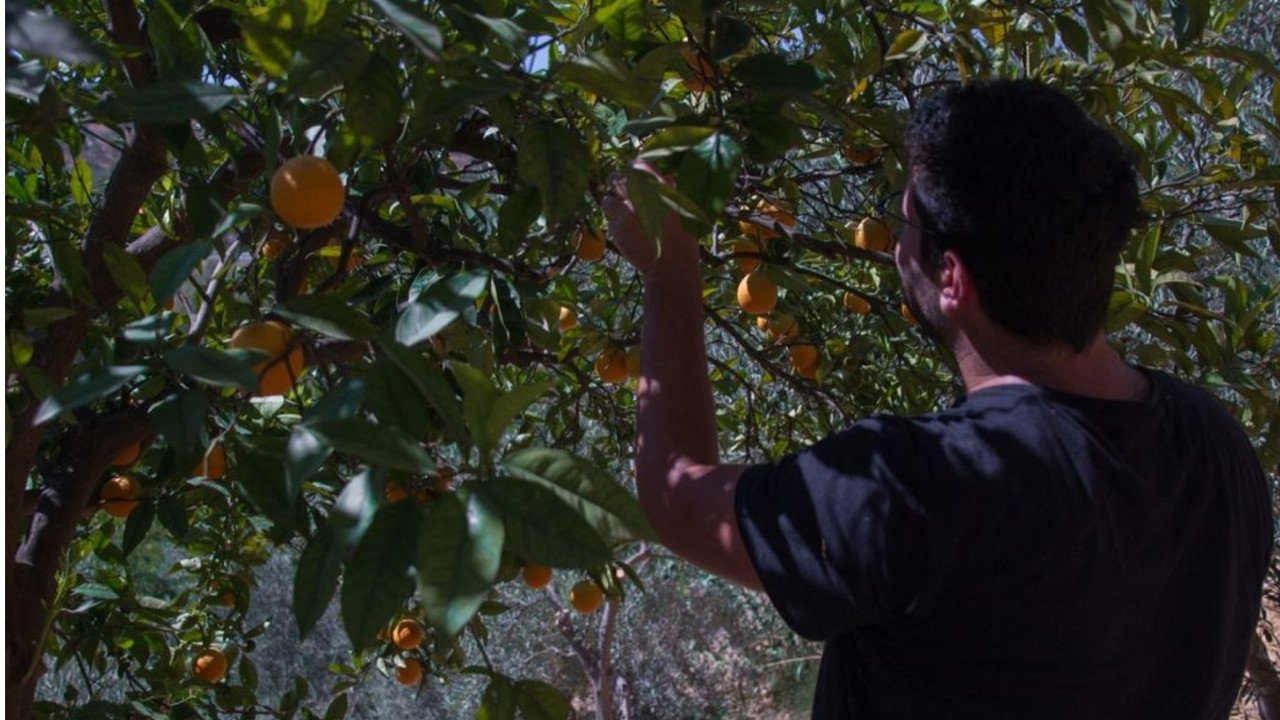 Kung Fu Hip Hop 2 backdrop