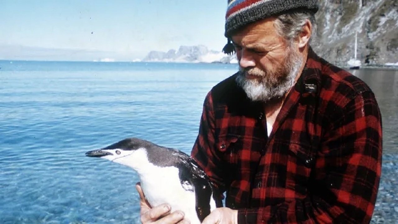 Nusja me Flokë të Bardhë backdrop