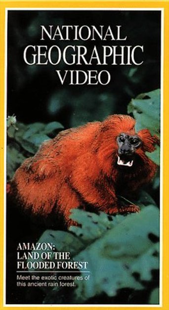 Koka që Flasin: Gjigandi i Tregimeve