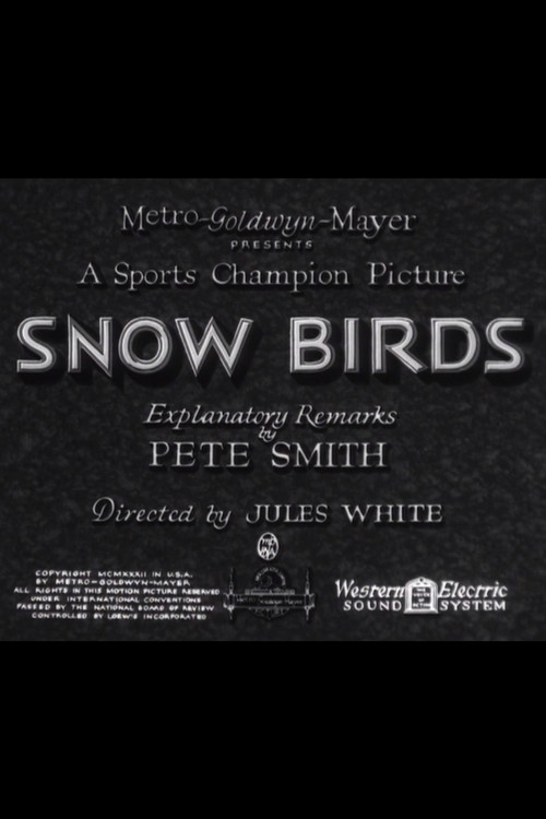 Të Puth Dorën, Zonjë poster