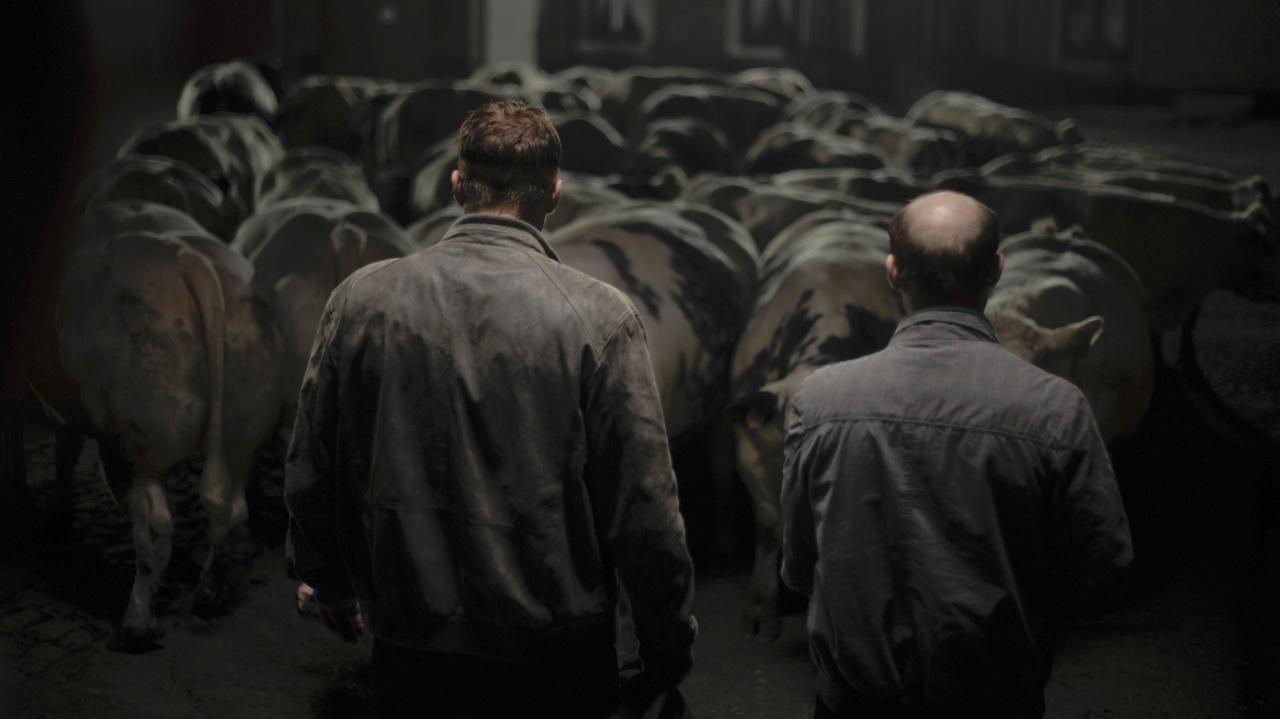 Don Juan DeMarco backdrop