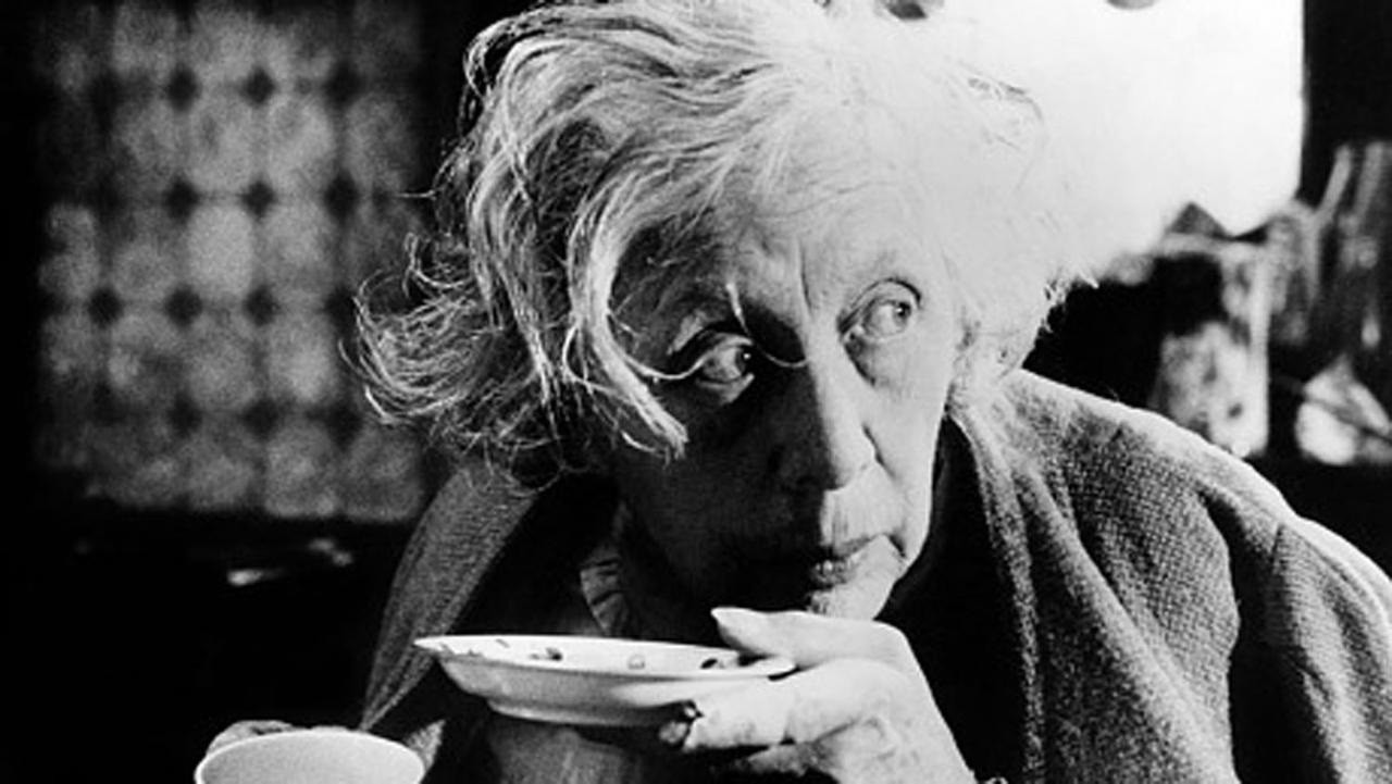 Shënime për një Orest të Afrikës backdrop