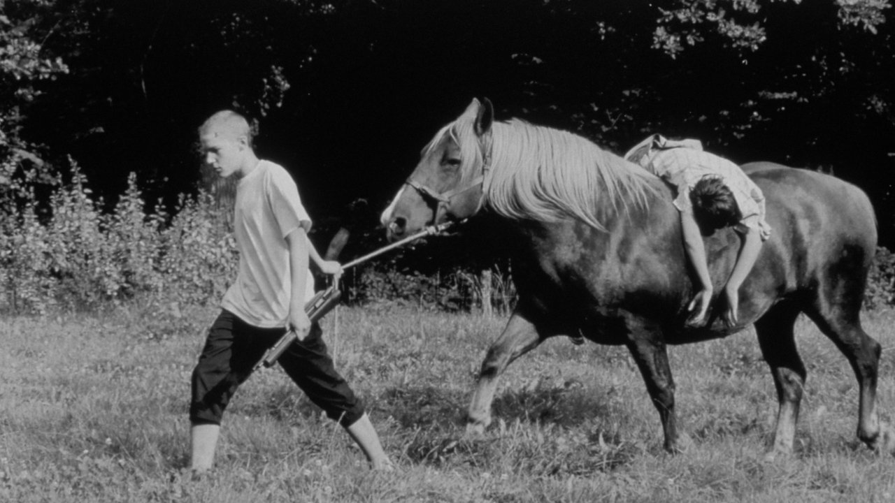 Kodi i Vërtetë i Da Vinçit backdrop