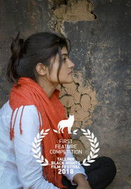 Si luajtën kozakët hokej