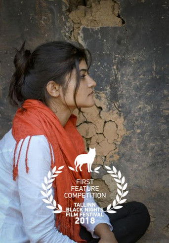 Si luajtën kozakët hokej