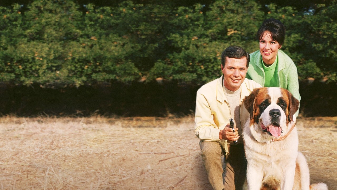 Pjesa e Qiellit backdrop