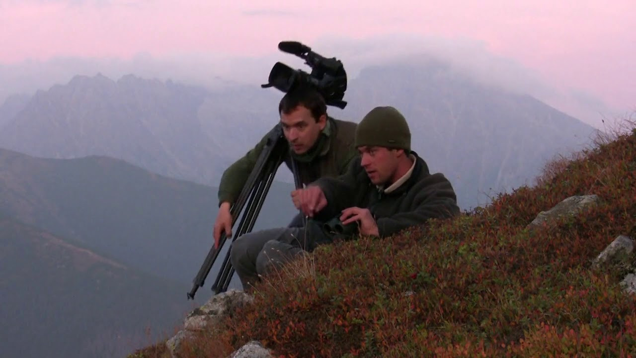 Këmbët e Vogla backdrop