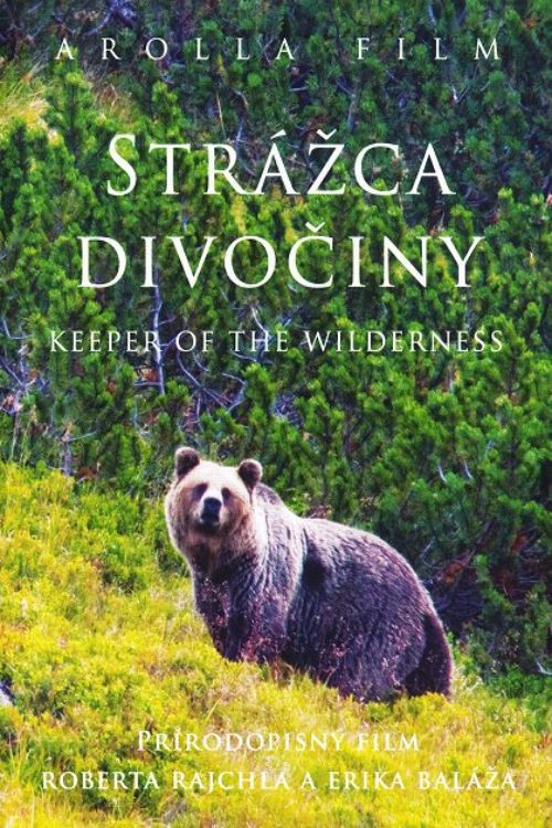 Këmbët e Vogla poster