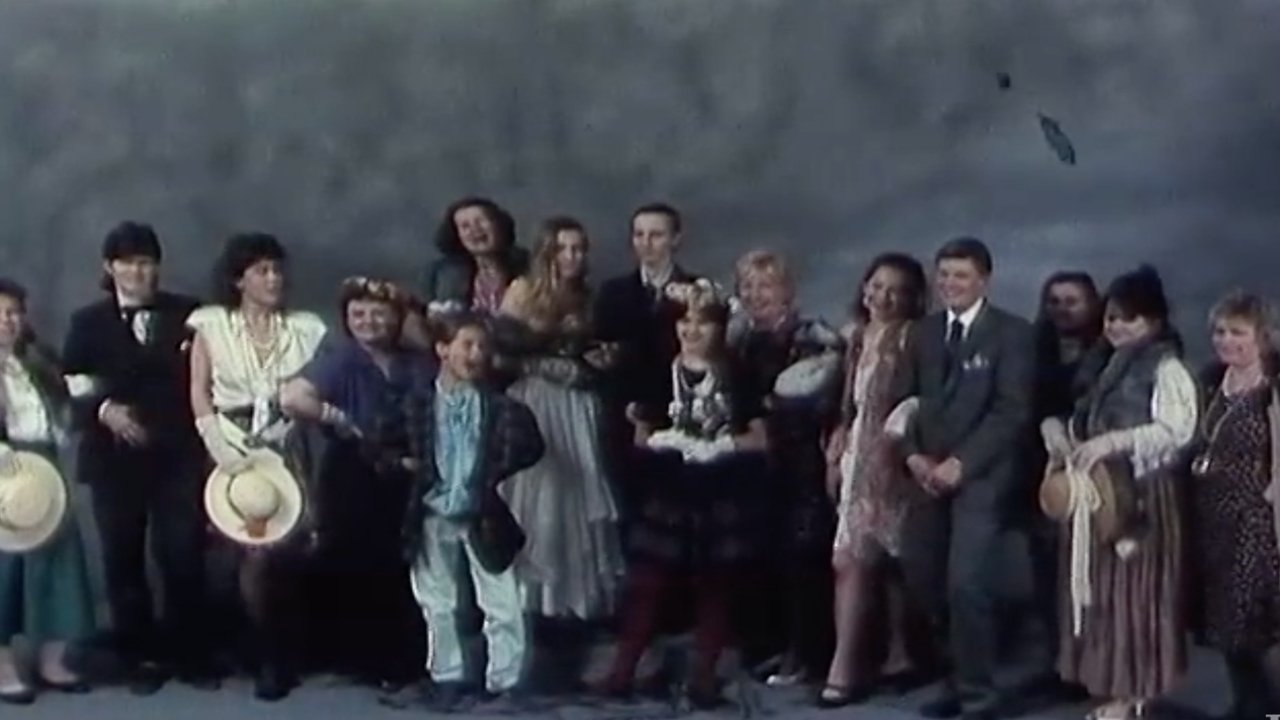 Dashuria Nuk Është Një Pendim backdrop