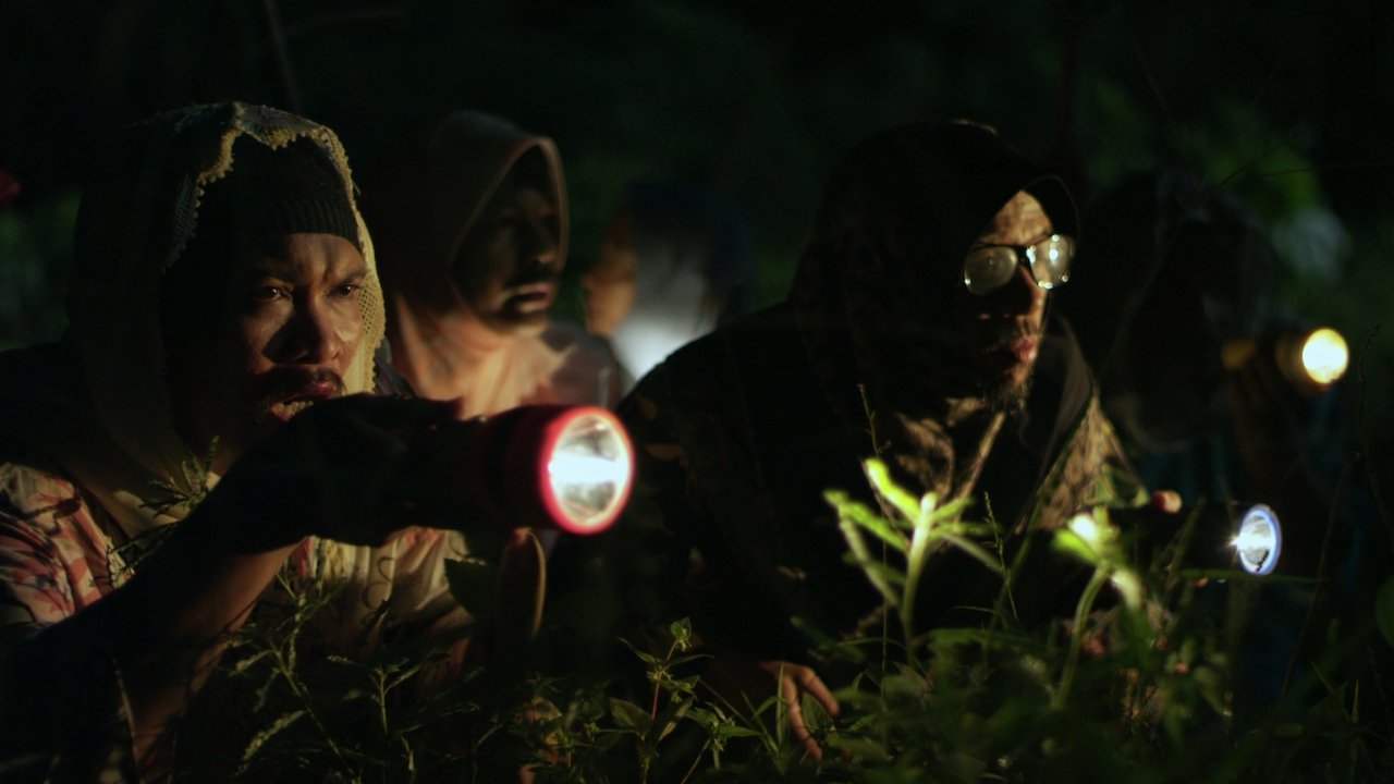 Rosamunde Pilcher: Verën e vjedhur backdrop